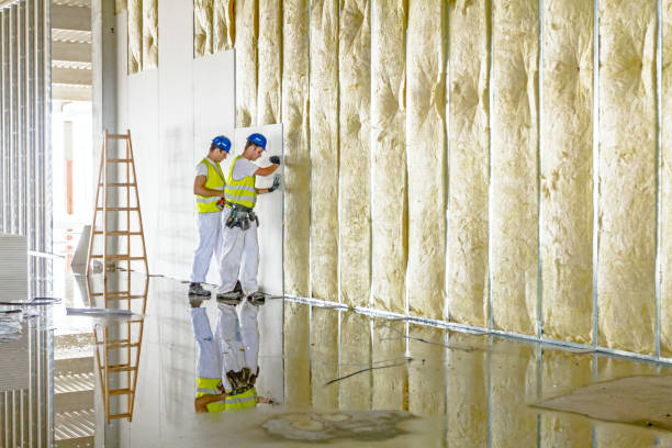 Best Residential Insulation in Corning, AR